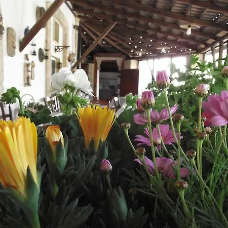 Alloggio per agriturismo Fattoria Il Noce Manduria