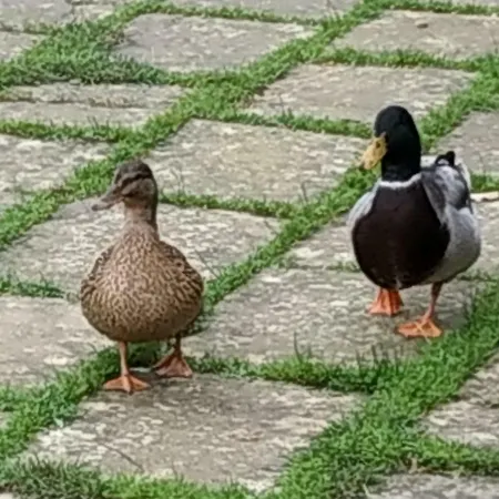 팜스테이 Fattoria Il Noce