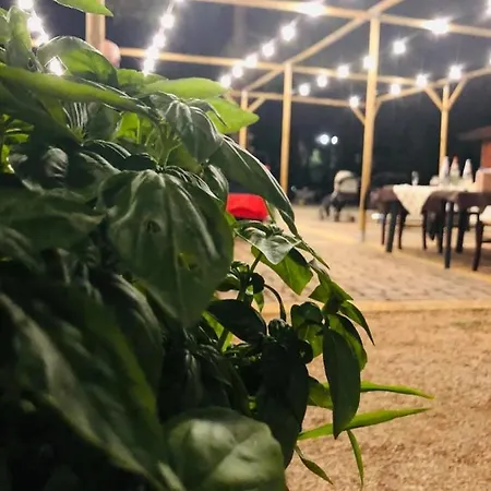 Fattoria Il Noce Мандурия