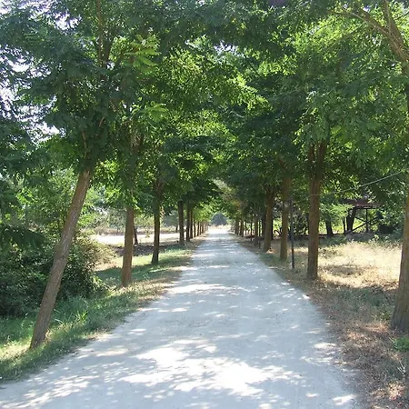 Фермерский дом Fattoria Il Noce Мандурия