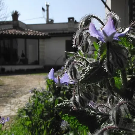 Fattoria Il Noce Мандурия