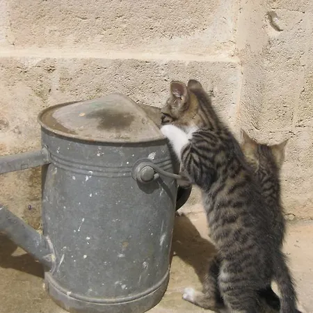 Fattoria Il Noce Мандурия