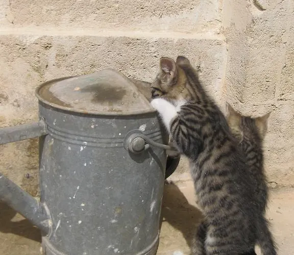 Fattoria Il Noce Manduria